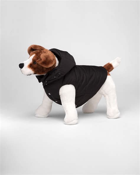 prada jacket dog|Luxury Pet Accessories .